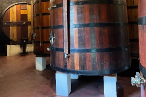 Desde Oporto: Tour Privado del Valle del Duero con Crucero y Vino