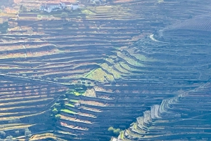 Desde Oporto: Tour Privado del Valle del Duero con Crucero y Vino