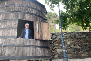 Desde Oporto: Tour Privado del Valle del Duero con Crucero y Vino
