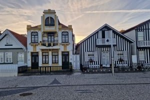 Fra Porto Privat halvdagstur i Aveiro og Costa Nova
