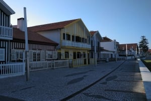 Fra Porto Privat halvdagstur i Aveiro og Costa Nova