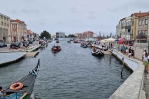 Fra Porto Privat halvdagstur i Aveiro og Costa Nova