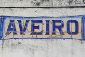 Fra Porto Privat halvdagstur i Aveiro og Costa Nova
