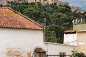 Из Порту: Частный трансфер в Лиссабон до 3 остановок