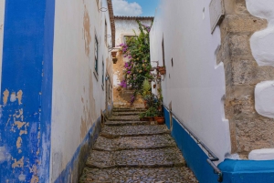 Из Порту: Частный трансфер в Лиссабон до 3 остановок