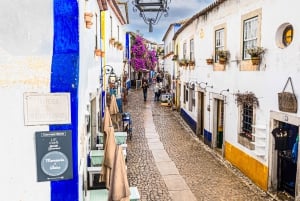 Von Porto: Privater Transfer nach Lissabon bis zu 3 Haltestellen