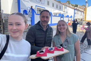 Fra Porto: Privat transfer til Lissabon med op til 4 bystop