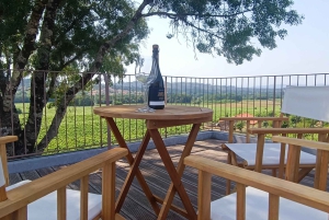 Из Порту: частный тур по винодельческим хозяйствам с дегустацией зеленого вина, обедом и посещением дворца.