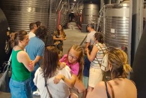 Из Порту: частный тур по винодельческим хозяйствам с дегустацией зеленого вина, обедом и посещением дворца.