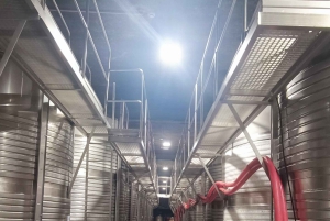 Из Порту: частный тур по винодельческим хозяйствам с дегустацией зеленого вина, обедом и посещением дворца.