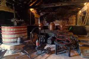 Из Порту: частный тур по винодельческим хозяйствам с дегустацией зеленого вина, обедом и посещением дворца.