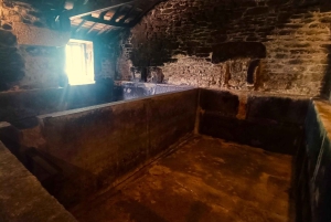 Из Порту: частный тур по винодельческим хозяйствам с дегустацией зеленого вина, обедом и посещением дворца.