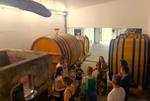 Из Порту: частный тур по винодельческим хозяйствам с дегустацией зеленого вина, обедом и посещением дворца.