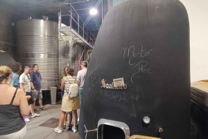 Из Порту: частный тур по винодельческим хозяйствам с дегустацией зеленого вина, обедом и посещением дворца.