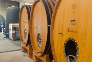 Из Порту: частный тур по винодельческим хозяйствам с дегустацией зеленого вина, обедом и посещением дворца.