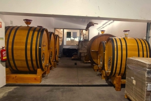 Из Порту: частный тур по винодельческим хозяйствам с дегустацией зеленого вина, обедом и посещением дворца.