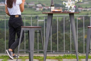 Из Порту: частный тур по винодельческим хозяйствам с дегустацией зеленого вина, обедом и посещением дворца.