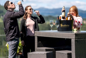 Из Порту: частный тур по винодельческим хозяйствам с дегустацией зеленого вина, обедом и посещением дворца.