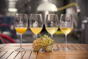 Из Порту: частный тур по винодельческим хозяйствам с дегустацией зеленого вина, обедом и посещением дворца.