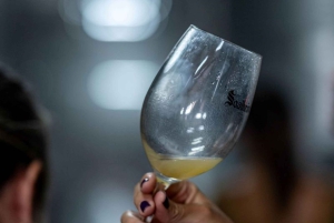 Из Порту: частный тур по винодельческим хозяйствам с дегустацией зеленого вина, обедом и посещением дворца.