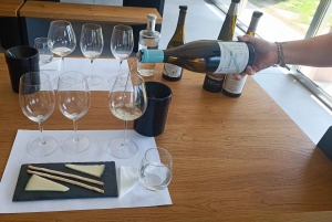 Из Порту: частный тур по винодельческим хозяйствам с дегустацией зеленого вина, обедом и посещением дворца.