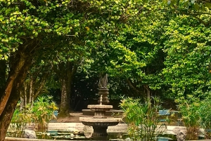 Из Порту: частный тур по винодельческим хозяйствам с дегустацией зеленого вина, обедом и посещением дворца.