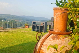 Из Порту: частный тур по винодельческим хозяйствам с дегустацией зеленого вина, обедом и посещением дворца.