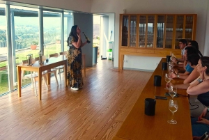 Из Порту: частный тур по винодельческим хозяйствам с дегустацией зеленого вина, обедом и посещением дворца.