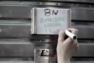 Из Порту: частный тур по винодельческим хозяйствам с дегустацией зеленого вина, обедом и посещением дворца.