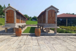 Из Порту: частный тур по винодельческим хозяйствам с дегустацией зеленого вина, обедом и посещением дворца.