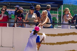 From Porto: Régua to Porto River Cruise with Lunch on Board