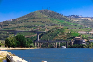 From Porto: Régua to Porto River Cruise with Lunch on Board