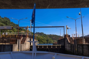 From Porto: Régua to Porto River Cruise with Lunch on Board