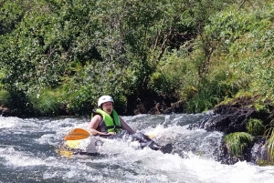 Do Porto: Aventura de tubulação no rio com almoço autêntico