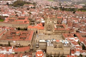 Von Porto aus: Santiago de Compostela Kathedrale Private Tour
