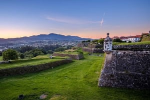 Von Porto aus: Santiago de Compostela Kathedrale Private Tour