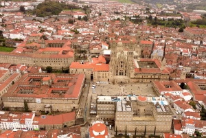Från Porto: Santiago de Compostela-katedralen Privat tur