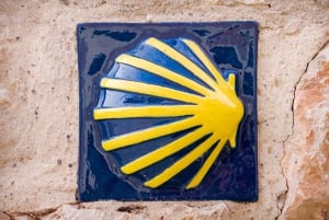 Från Porto: Santiago de Compostela-katedralen Privat tur