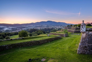 Från Porto: Santiago de Compostela-katedralen Privat tur