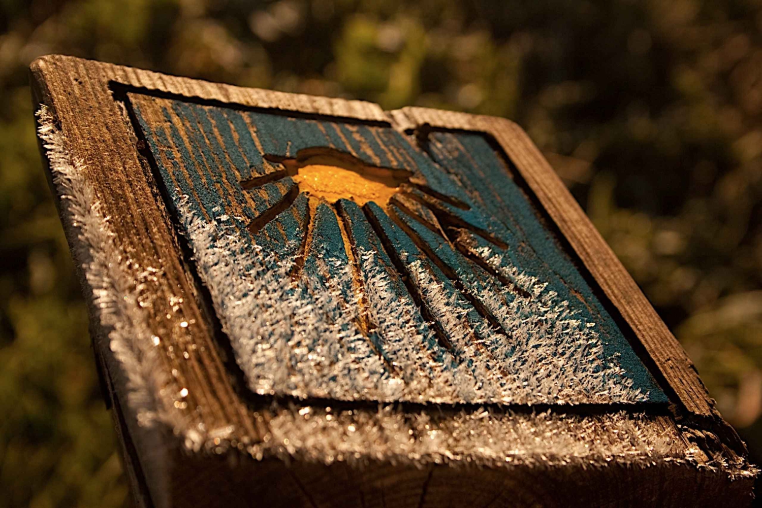 Vanuit Porto: Santiago de Compostela Dagvullende Tour