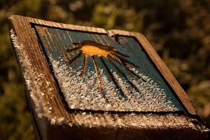 Vanuit Porto: Santiago de Compostela Dagvullende Tour