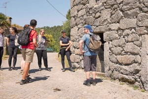 Z Porto: Jednodniowa wycieczka w małej grupie do Parku Gerez z piknikiem