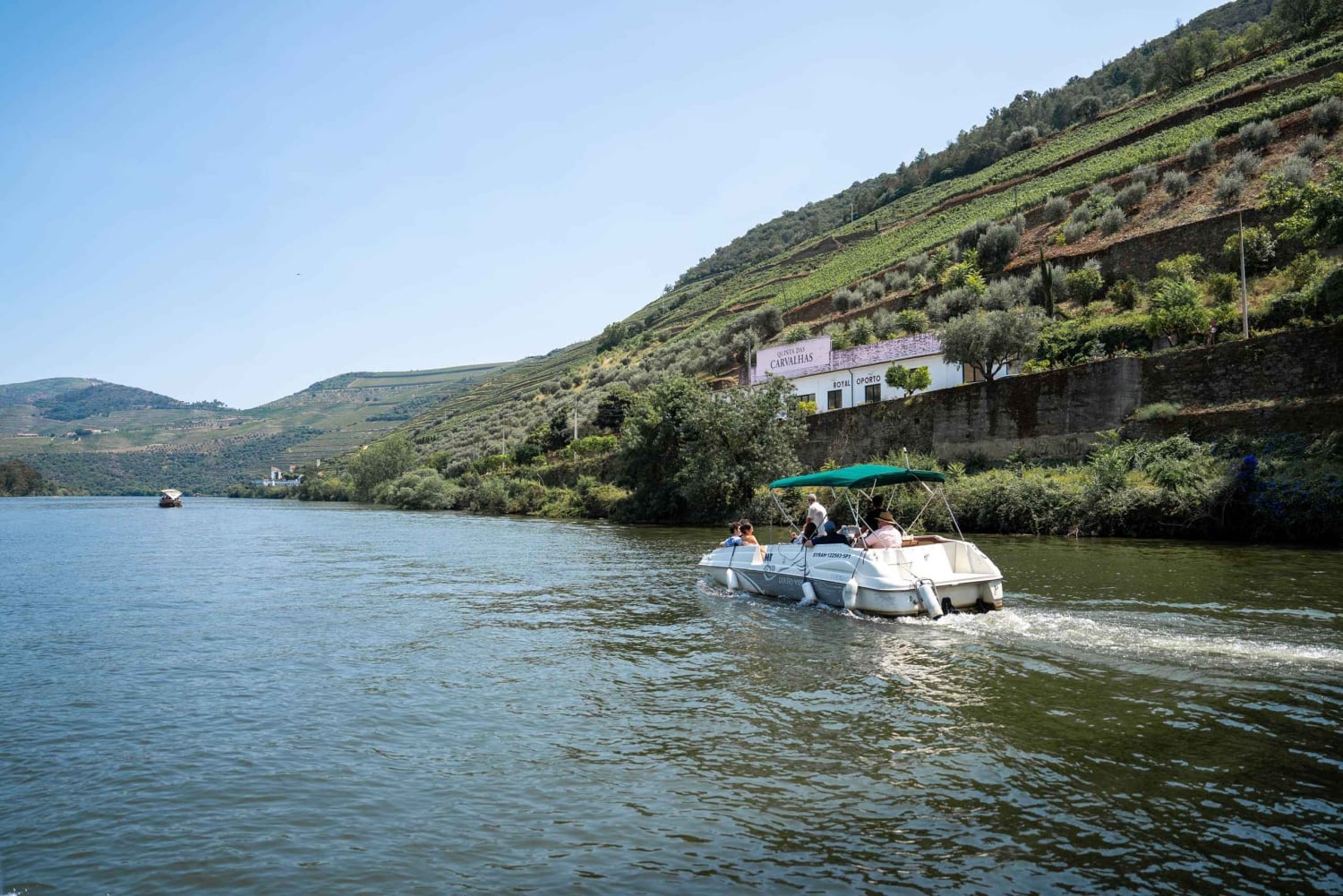 From Porto: Small Group Douro Valley Tour with Wine & Cruise