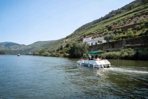 From Porto: Small Group Douro Valley Tour with Wine & Cruise