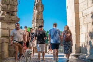 From Porto: Small Group Douro Valley Tour with Wine & Cruise