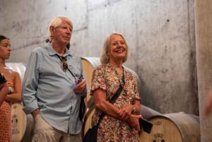 From Porto: Small Group Douro Valley Tour with Wine & Cruise