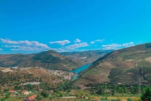 From Porto: Small Group Douro Valley Tour with Wine & Cruise