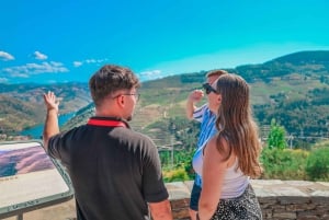From Porto: Small Group Douro Valley Tour with Wine & Cruise