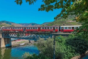 From Porto: Small Group Douro Valley Tour with Wine & Cruise