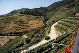 From Porto: Small Group Douro Valley Tour with Wine & Cruise